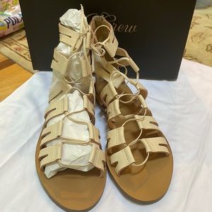 J. Crew Gladiator Sandals